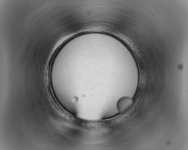 X0000099421078200805301402