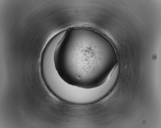 X0000099421079200805301402