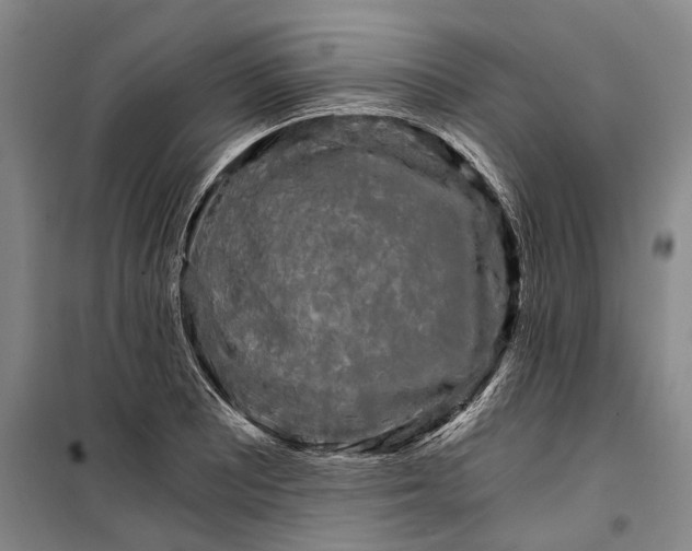 X0000099421081200805301402