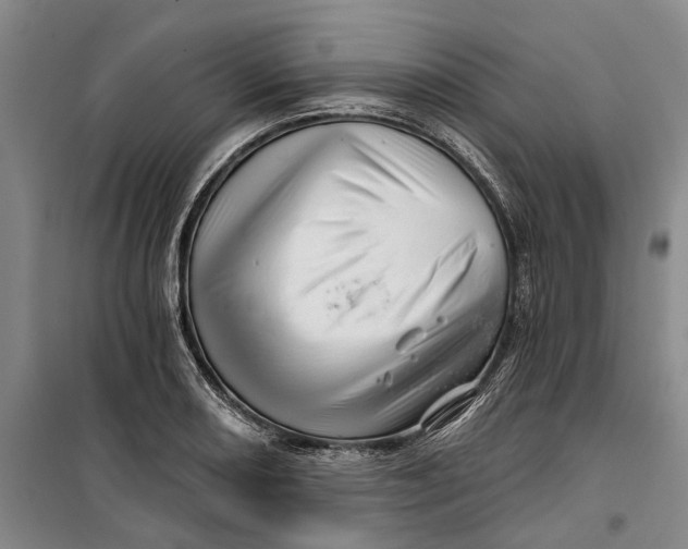 X0000099421082200805301402