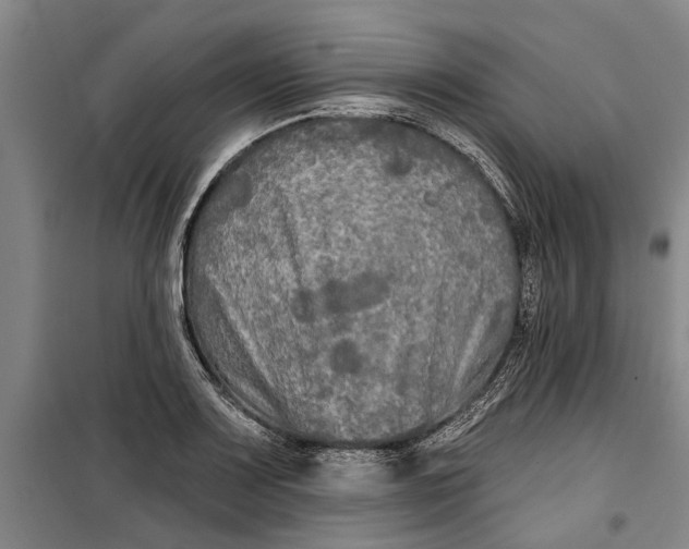 X0000099421083200805301402