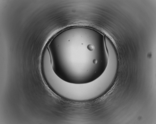 X0000099421085200805301402