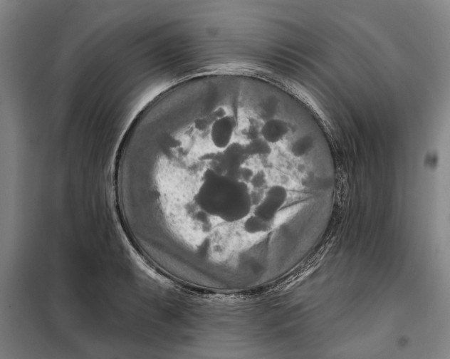 X0000099421087200805301402