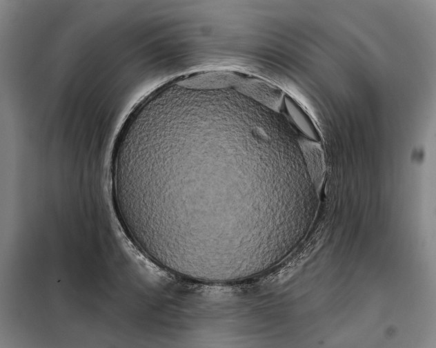 X0000099421088200805301402