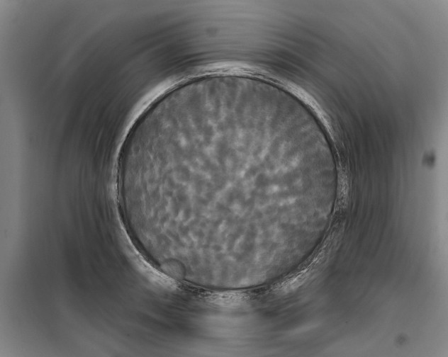 X0000099421090200805301402