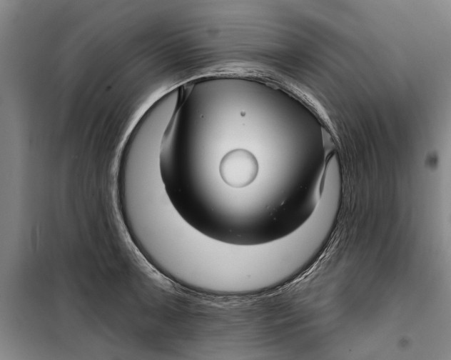 X0000099421091200805301402