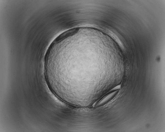 X0000099421092200805301402