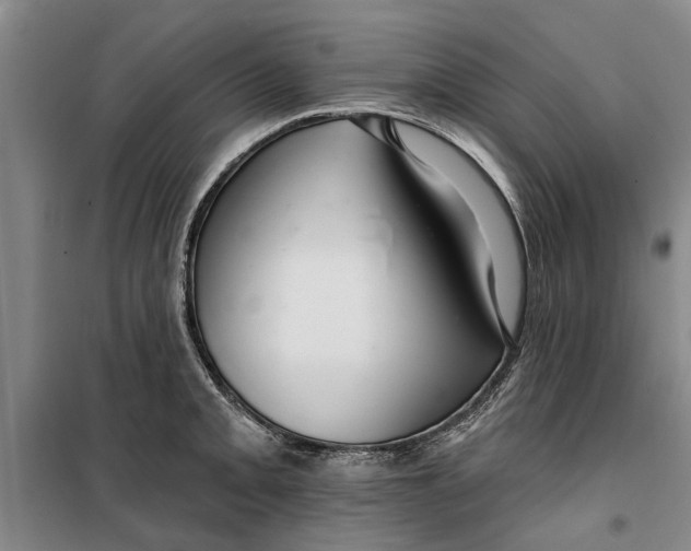 X0000099421093200805301402