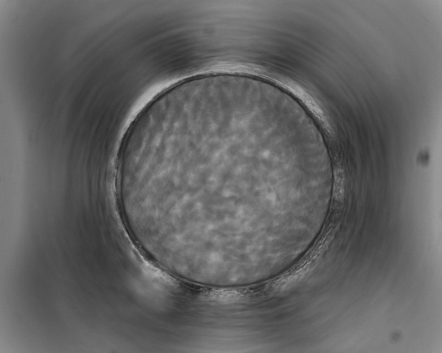 X0000099421094200805301402