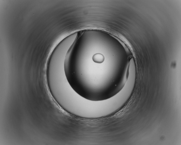 X0000099421096200805301402