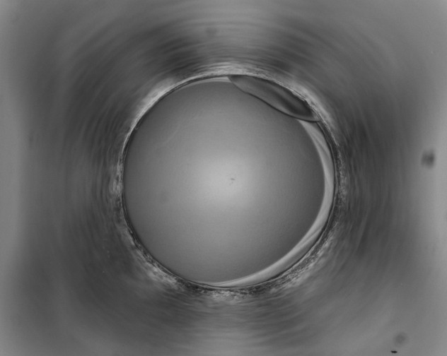 X0000099421097200805301402