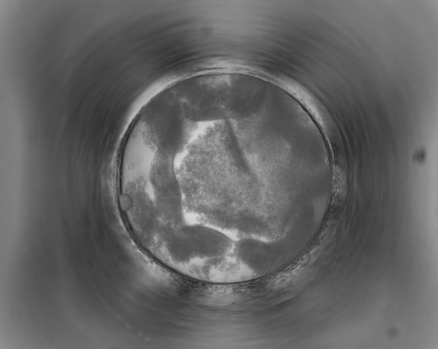 X0000099421098200805301402