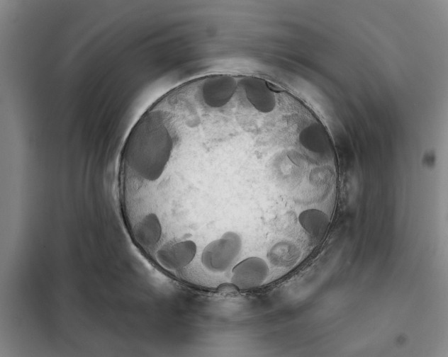 X0000099421103200805301401