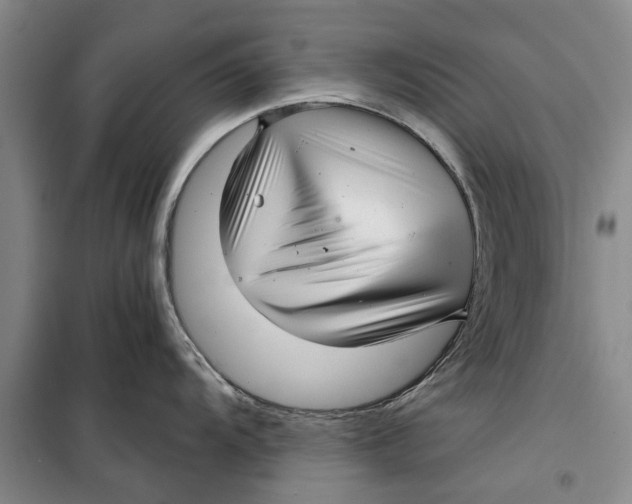 X0000099421104200805301401