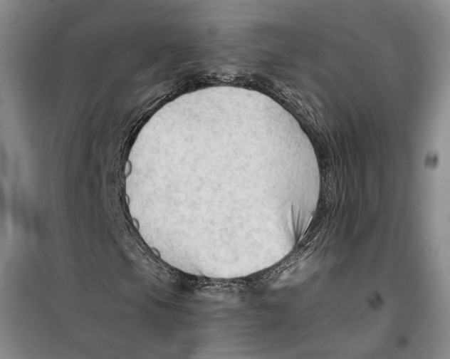 X0000099421105200805301401