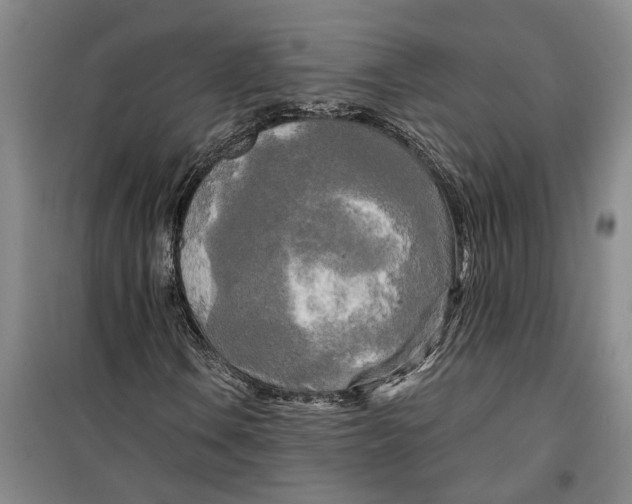 X0000099421106200805301401