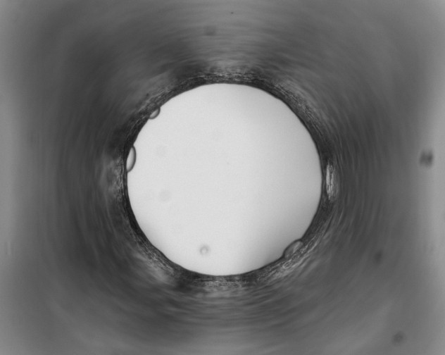 X0000099421107200805301401