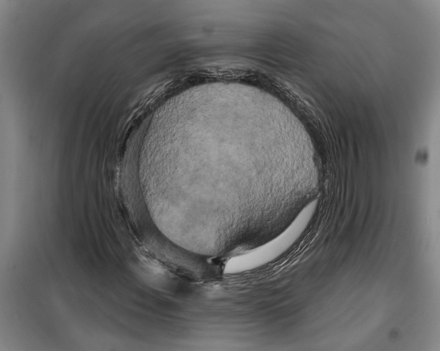 X0000099421108200805301401