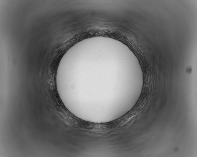 X0000099421109200805301401