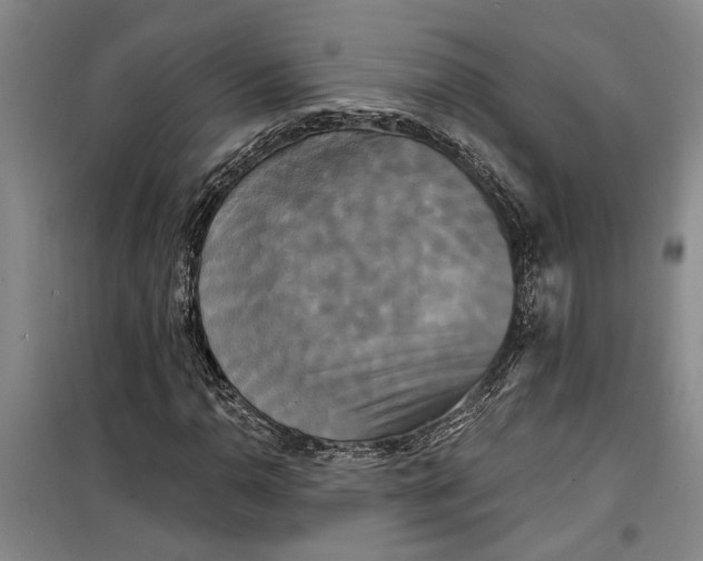 X0000099421110200805301401