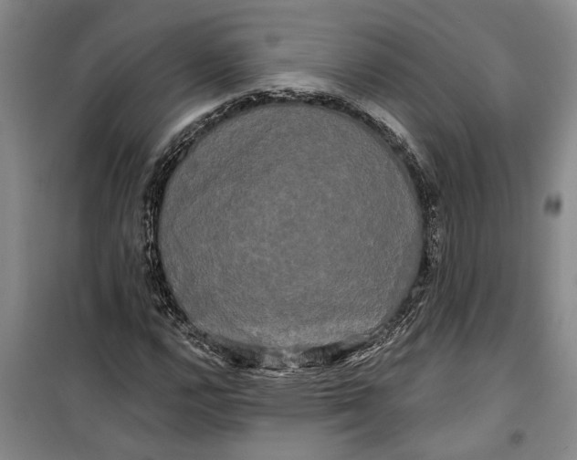 X0000099421112200805301401