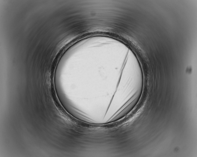 X0000099421113200805301401