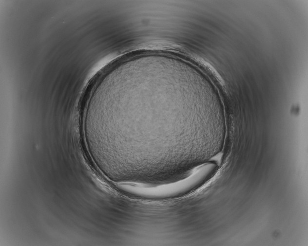 X0000099421114200805301401