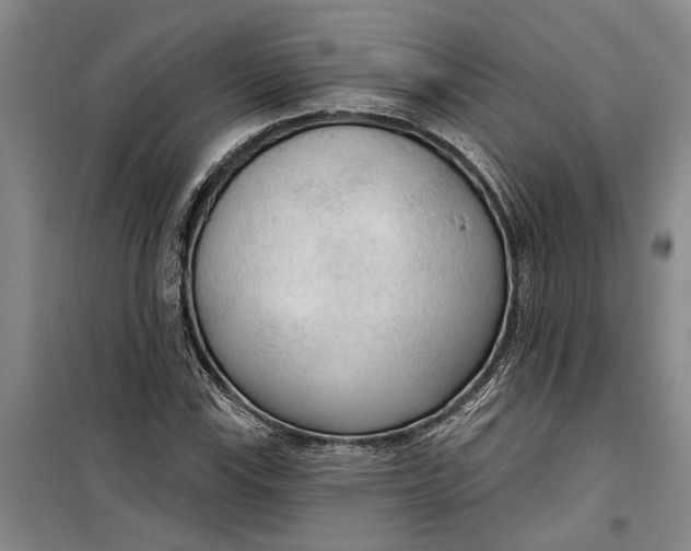 X0000099421115200805301401