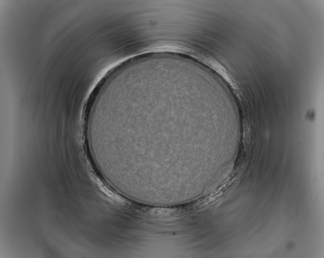 X0000099421116200805301401