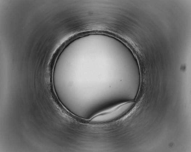 X0000099421118200805301401