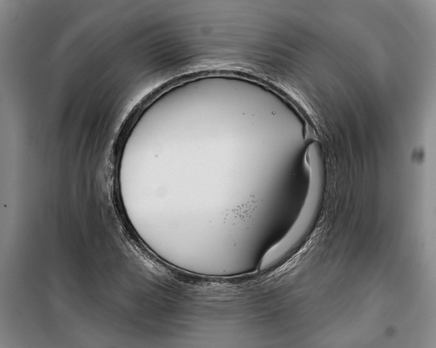 X0000099421119200805301401