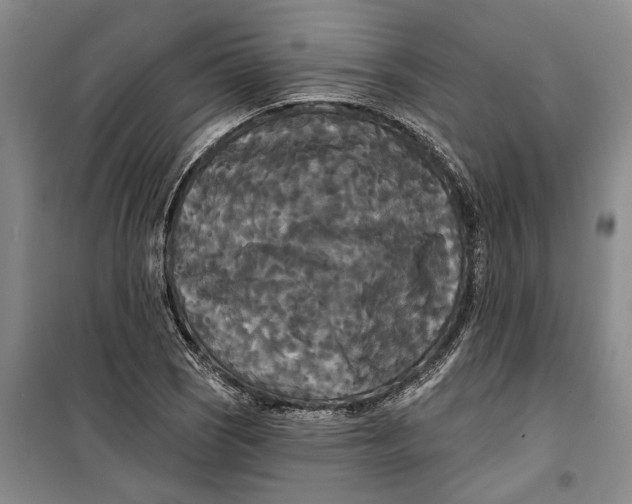 X0000099421121200805301401