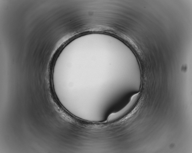 X0000099421122200805301401