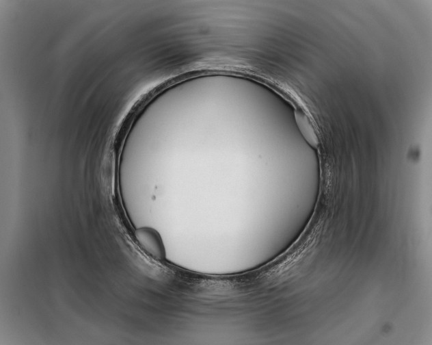 X0000099421123200805301401