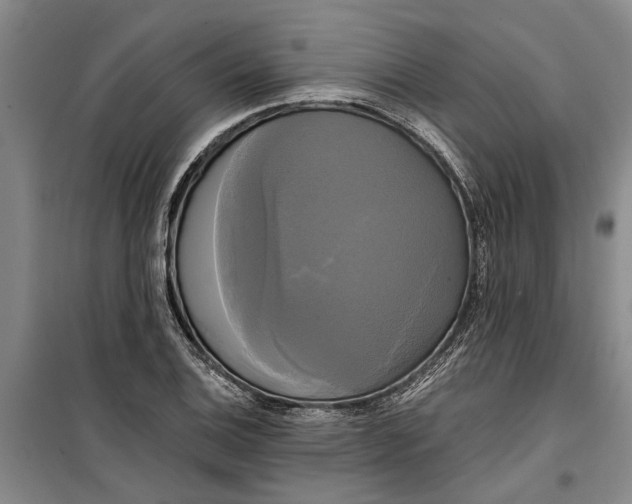 X0000099421124200805301401