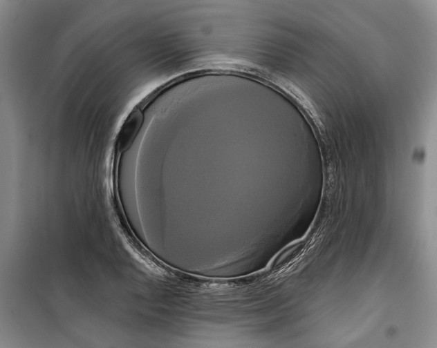 X0000099421128200805301401