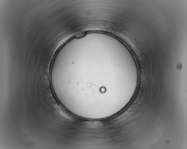 X0000099421129200805301401