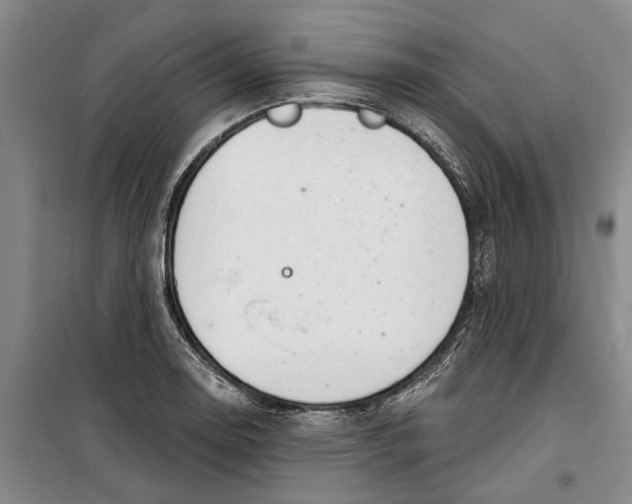 X0000099421130200805301401