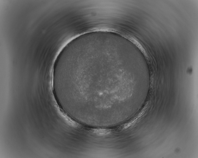 X0000099421132200805301401