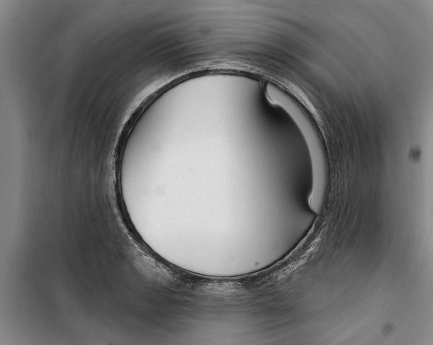 X0000099421133200805301401