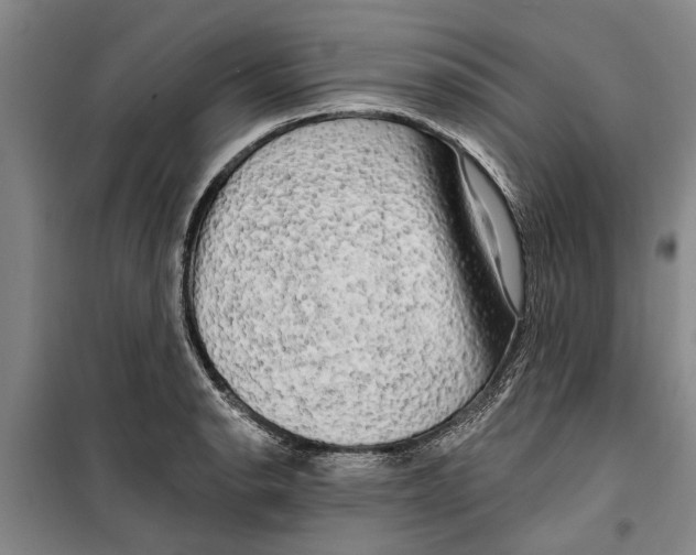 X0000099421134200805301401