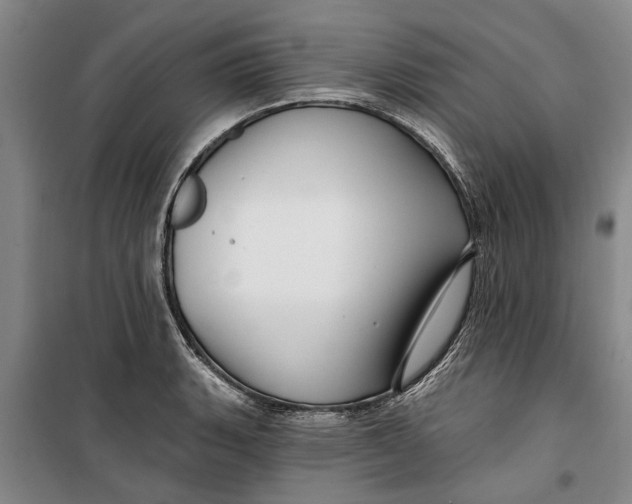 X0000099421135200805301401