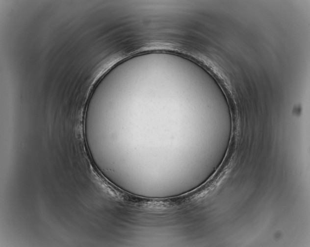 X0000099421137200805301401