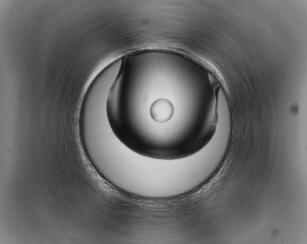 X0000099421138200805301401