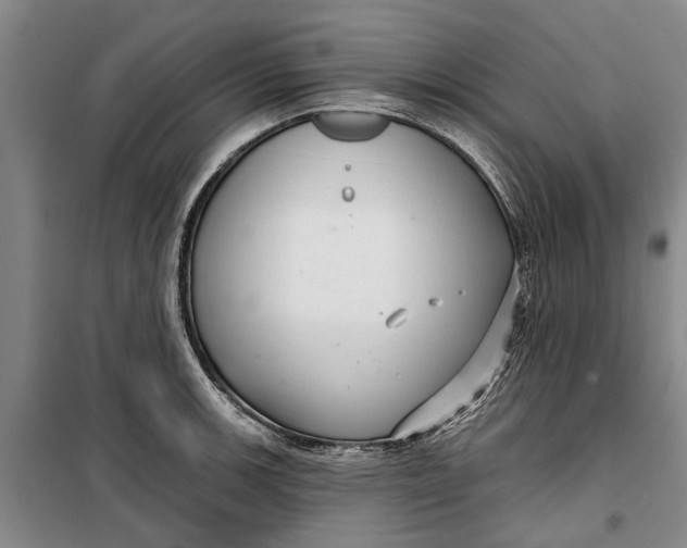 X0000099421139200805301401