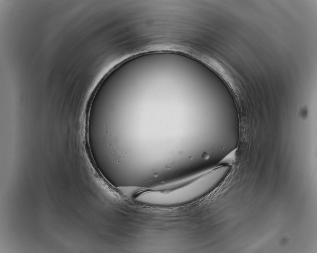 X0000099421140200805301401