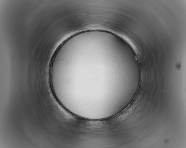 X0000099421142200805301401