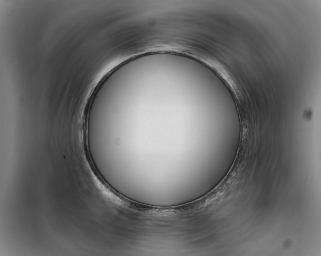 X0000099421143200805301401