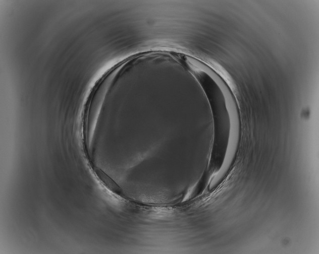 X0000099421144200805301401