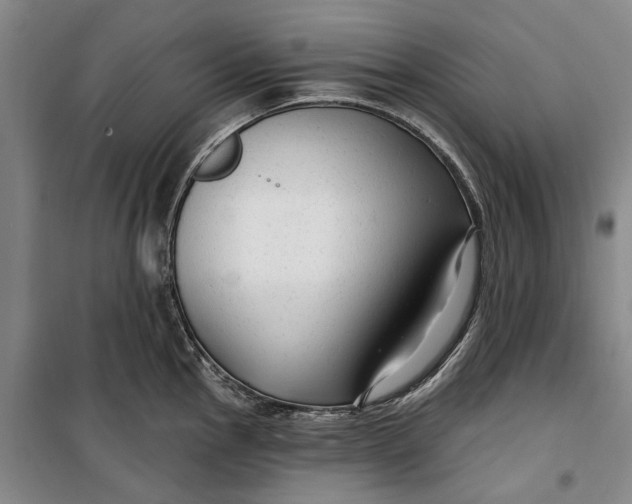 X0000099421145200805301401